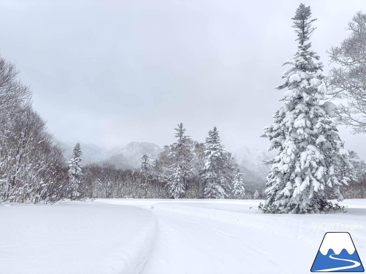 キロロリゾート｜遅ればせながら…。積雪200cmのキロロで、2025～2026 SNOW Freaks『初滑り』。今シーズンもどうぞよろしくお願いいたします！
